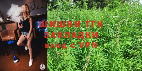 хмурый Верея