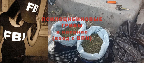 скорость Бородино