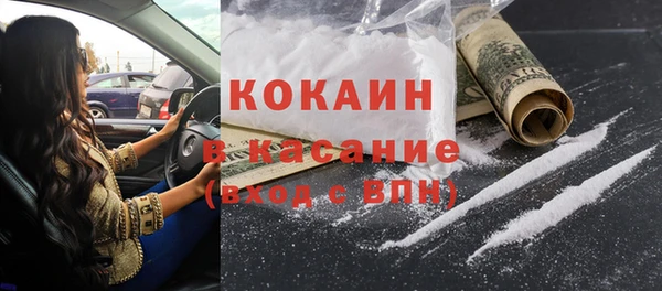 хмурый Верея